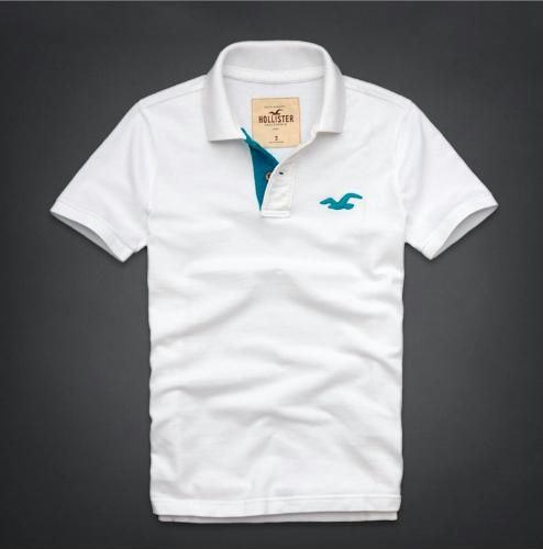 POLO HOLLISTER SHELL BEACH