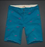 HOLLISTER CLASSIC FIT SHORTS