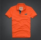 POLO HOLLISTER PARADISE COVE